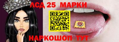 2c-b Кингисепп