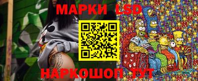 2c-b Кингисепп