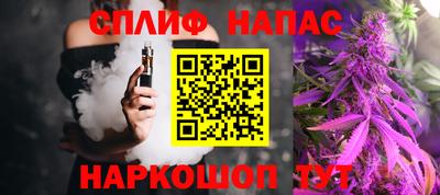 2c-b Кингисепп