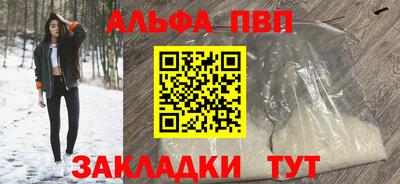 2c-b Кингисепп
