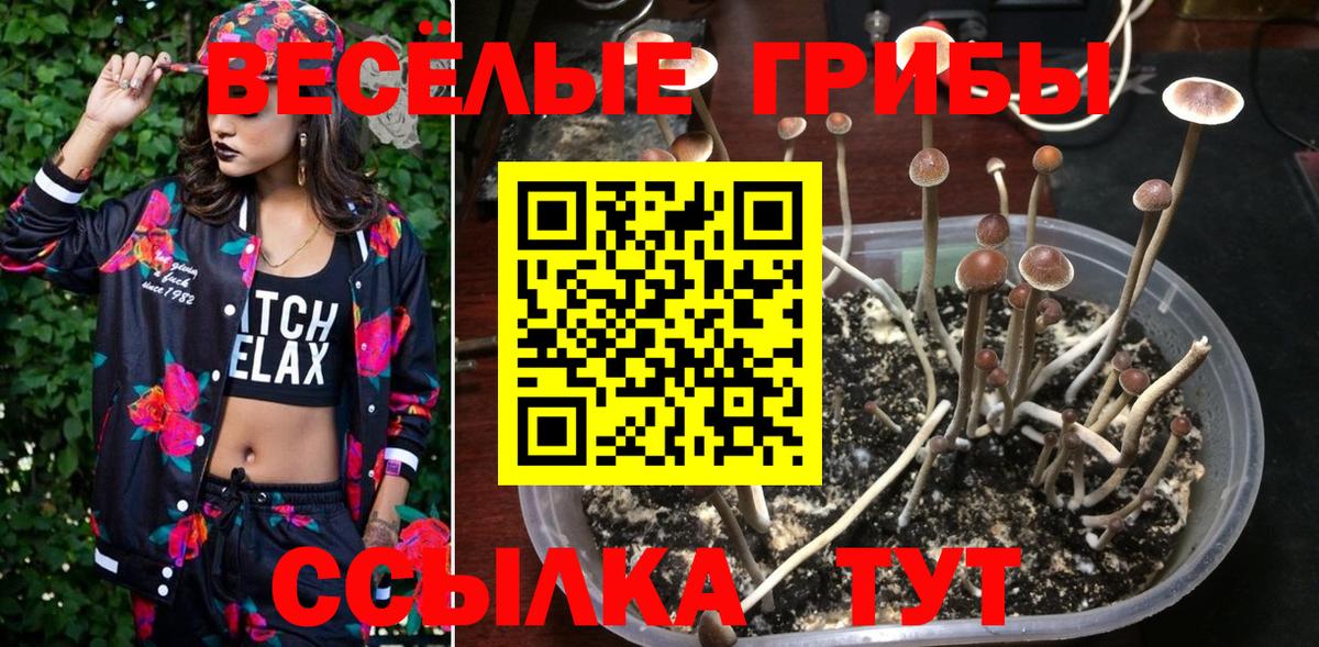 Галлюциногенные грибы прущие грибы  закладка  Вход с VPN  Ульяновск  Псилоцибиновые грибы прущие грибы 