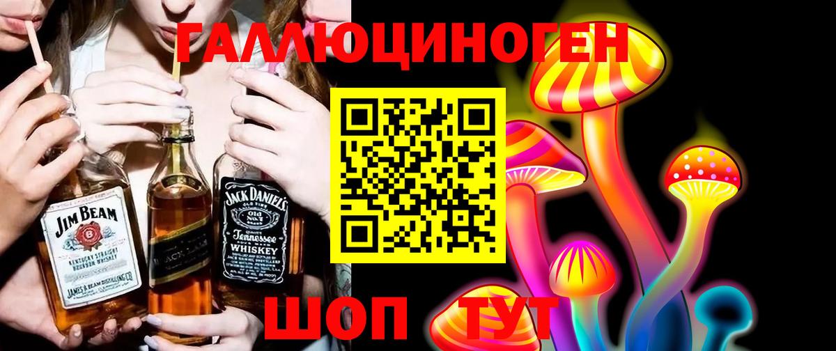 Галлюциногенные грибы Psilocybe Ульяновск